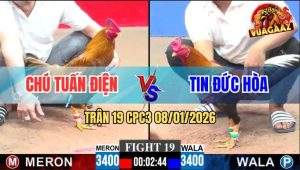 Trận 19 CPC3 8/1/2026 - Điều Đá Ngay Mu Lưng Hạ Khét Cọp Chú Tuấn Điện