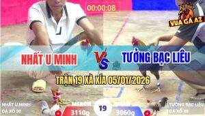 Trận 19 Xà Xía 5/1/2026 - Anh Kẽm Cà Mau Sửa Gà Quá Đẳng Cấp