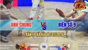 Trận 19 Xà Xía 10/1/2026 - Gà Xám Anh Chung Bẻ Giò Camelo Biện Số 9
