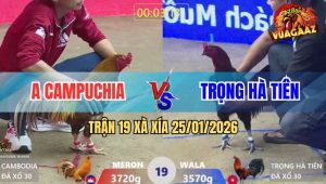 Trận 19 Xà Xía 25/1/2026 - Que Chân Chì Anh Kiểm Đâm Khét Té Bò Lết