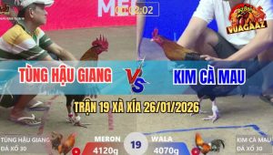 Trận 19 Xà Xía 26/1/2026 - Khét Đá Điều Chân Trắng Anh Kiểm Tốc Chạy