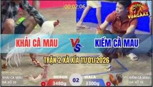 Trận 2 Xà Xía 11/1/2026 - Gà Khét Anh Kiểm Đá Toàn Đầu Cần