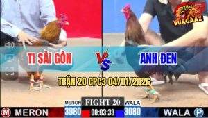 Trận 20 CPC3 4/1/2026 - Xanh Mẻ Hiệu Anh Tính GaKing Đâm Cựa Bao Dính