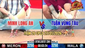 Trận 20 CPC3 27/1/2026 - Gà Bướm Đâm Úa Má Minh Không Trượt Phát Nào