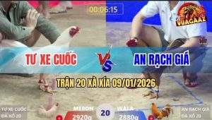 Trận 20 Xà Xía 9/1/2026 - Úa Đánh Du Kích Đâm Khét Giãy Chết Tại Chỗ