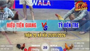 Trận 20 Xà Xía 21/1/2026 - Gà Khét Đồng Ký Đá Trên Dưới Và Cái Kết