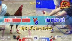 Trận 21 Xà Xía 12/1/2025 - Điều Qua Ẩu Bị Camelo Đá Cho Mắt Nổ Đom Đóm