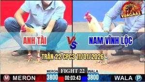 Trận 22 CPC3 11/1/2026 - Camelo Anh Tài Chặn Đúng Chân Bướm Gãy Giò