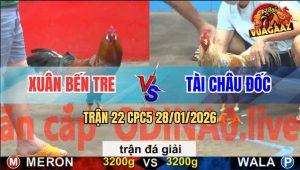 Trận 22 CPC5 28/1/2026 - Anh Xuân Bến Tre Gặp Anh Tài Châu Đốc
