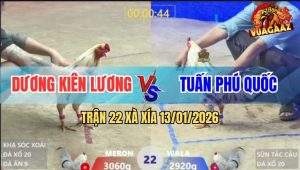 Trận 22 Xà Xía 13/1/2026 - Một Cây Chí Mạng, Đỏ Gục Ngã Trong Vũng Máu