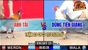 Trận 23 CPC3 11/1/2026 - Điều Anh Tài Hít Vô Đâm Bướm Nằm Bẹp Dí