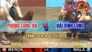 Trận 23 CPC4 5/1/2026 - Bông Sáng Nở Chiều Tàn, Que Để Cây Lưng Héo Úa