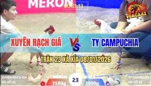 Trận 23 Xà Xía 8/1/2026 - Bướm Mồng Lá Má Mồng Dâu, Đâm Đâu Dính Đó