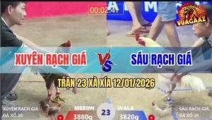 Trận 23 Xà Xía 12/1/2025 - Chú Sáu Thua Độ Cọn Bị Nhảy Chọc Quê