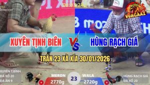 Trận 23 Xà Xía 30/1/2026 - Điều Gãy Cánh Phản Tang Đá Chuối Nằm Đống