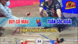 Trận 24 Xà Xía 23/1/2026 - Bướm Đâm Mấy Cây Lưng Tiễn Điều Lên Đường