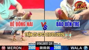 Trận 25 CPC3 27/1/2026 - Gà Vàng Lội Ngược Dòng Phản Ăn 2 Kinh Điển