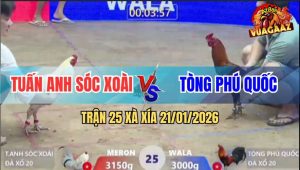 Trận 25 Xà Xía 21/1/2026 - Gà Bướm Anh Tuấn Anh Đá Như Cây Đập