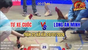Trận 25 Xà Xía 24/1/2026 - Gà Chuối Chồng Độ Đâm Xám Bay Bồ Kêu Miệng