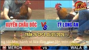 Trận 26 CPC4 5/1/2026 - Điều Bông Anh Tý Đá Điều Không Kịp Gỡ Cựa