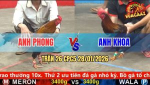 Trận 26 CPC5 28/1/2026 - Xanh Bến Lũi, Đỏ Chụp Siết Mấy Chân Hư Hộp Số