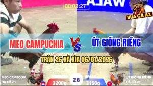 Trận 26 Xà Xía 6/1/2026 - Hai Con Cắn Cưa Vô Trong Thấm Tang Bỏ Mặt