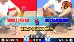 Trận 27 CPC3 25/1/2026 - Camelo Má Minh Đâm Điều Không Sót Chân Nào