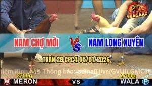 Trận 28 CPC4 5/1/2026 - Bướm Anh Nam Đâm Điều Không Bỏ Chân Nào