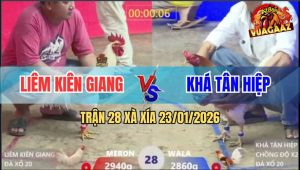 Trận 28 Xà Xía 23/1/2026 - Camelo Anh Khá Chồng Độ Đá Úa Chạy Mất Dép