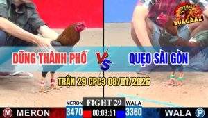 Trận 29 CPC3 8/1/2026 - Gà Que Chậm Mà Đâm Phát Nào Lút Cán Phát Đó