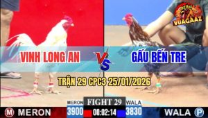 Trận 29 CPC3 25/1/2026 - Bướm Đá Quá Hay, Tiễn Bông Anh Gấu Đi Cúng