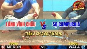 Trận 3 CPC4 6/1/2026 - Đám Bướm CPC Đâm Cựa Quá Ác Đỏ Đút Vô Ói Ộc Ộc