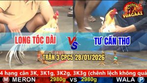 Trận 3 CPC5 28/1/2026 - Bướm Đỏ Táng Cây Lưng, Xanh Quỵ Luôn Tại Chỗ