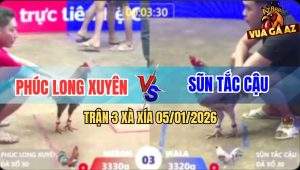 Trận 3 Xà Xía 5/1/2026 - Xám Anh Phúc Đâm Cây Lưng Điều Bông Tốc Chạy