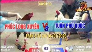 Trận 3 Xà Xía 6/1/2026 - Hai Con Cắn Cưa Vô Trong Đứt Hơi Bỏ Miệng