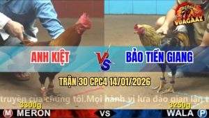 Trận 30 CPC4 14/1/2026 - Điều Mồng Lá Đá Quá Đâm, Chuối Chạy Mất Dép