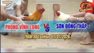 Trận 30 TonHon 7/1/2026 - Anh Phong Và Anh Sơn Không Phân Thắng Bại