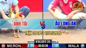 Trận 31 CPC3 11/1/2026 - Hai Con Há Miệng Thở Dốc, Bất Phân Thắng Bại