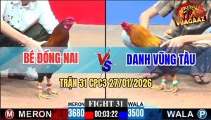 Trận 31 CPC3 27/1/2026 - Khét Đá Như Cái Máy, Điều Lọt Chết Trong Chân