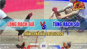 Trận 31 Xà Xía 28/1/2026 - Vàng Anh Tùng Có Chân Xạo Lờ Đá Que Gãy Cổ