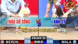Trận 32 CPC3 4/1/2026 - Gà Xám Anh Sỹ Đâm Gà Úa Té Lên Té Xuống