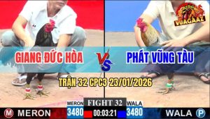 Trận 32 CPC3 23/1/2026 - Gà Chuối Anh Giang Đá Lưng Gà Xanh Như Cái Rổ