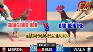 Trận 32 CPC3 27/1/2026 - Điều Anh Giang Đâm Gà Bông Anh Gấu Lìa Giò