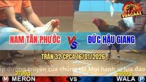 Trận 32 CPC4 16/1/2026 - Que Đá Lọt Hốc Khiến Gà Bướm Bại Liệt