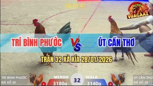 Trận 32 Xà Xía 28/1/2026 - Gà Phèn Đá 2 Cước Phế Luôn Cặp Giò Gà Điều