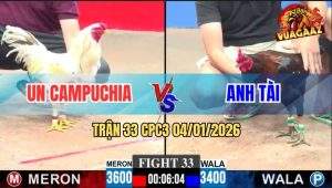 Trận 33 CPC3 4/1/2026 - Bướm Anh Un Đá Như Cây Đập, Điều Té Thẳng Cẳng