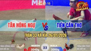 Trận 33 Xà Xía 26/1/2026 - Úa Hiệu Hồng Ngự Đâm Cựa Bao Dính