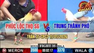 Trận 35 CPC3 11/1/2026 - Chuối Đâm Quá Nghiệt, Úa Chạy Bung Bồ Cầu Cứu