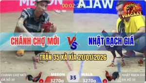 Trận 35 Xà Xía 21/1/2026 - Điều Anh Nhật Đá Điều Đỏ Không Dỡ Được Giò