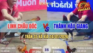 Trận 35 Xà Xía 24/1/2026 - Xám Qua Đưa Đầu Cho Điều Đá 1Cây Thấu Trời